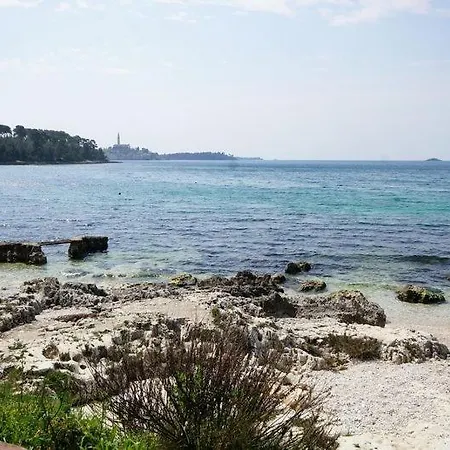 Konukevi In With Sea View, Balcony, Air Conditioning, W-lan 81-4 Rovinj