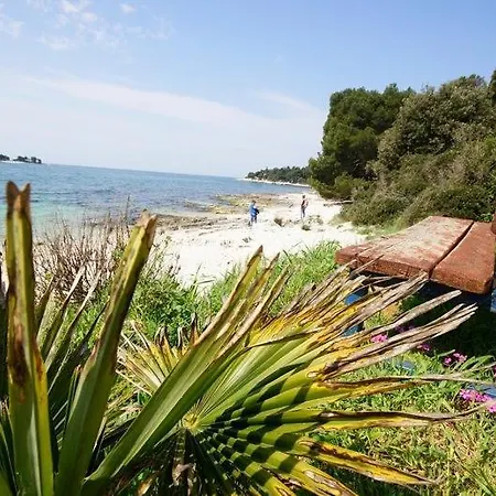 In With Sea View, Balcony, Air Conditioning, W-lan 81-4 Guest house *
